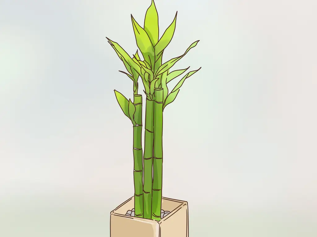 3 способа быть богемным