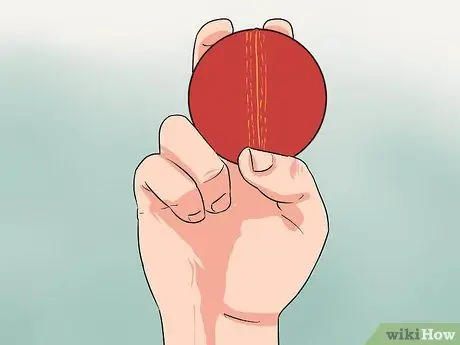 Подать заявку на переигрывание в крикете Шаг 5