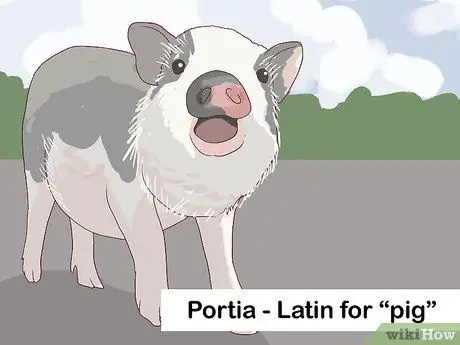 Выберите имя для ребенка, шаг 12