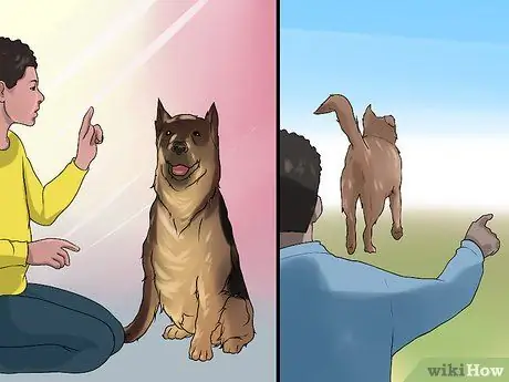 Обеспечьте безопасность пожилых людей в окружении активных собак Шаг 2