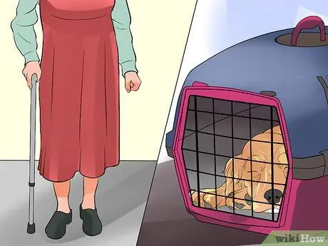 Обеспечьте безопасность пожилых людей в окружении активных собак Шаг 4