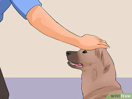 Обеспечьте безопасность пожилых людей в окружении активных собак Шаг 9