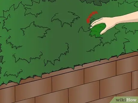 Скрыть вещи от родителей Шаг 3