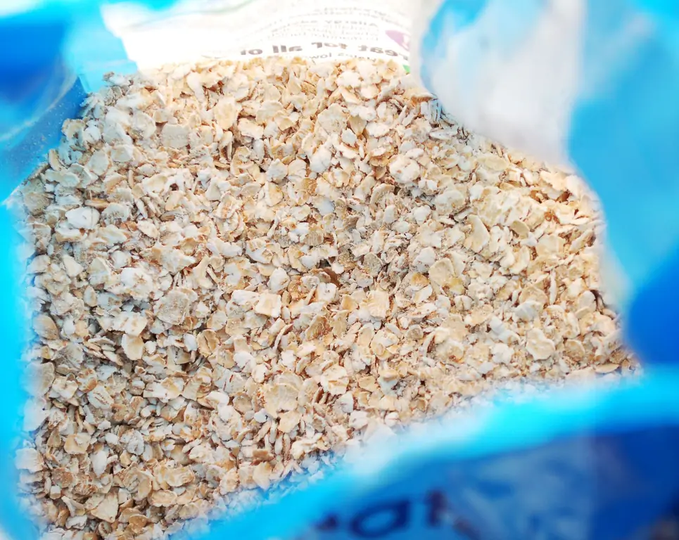 Как добавить овсянку в шоколадное печенье: 5 шагов