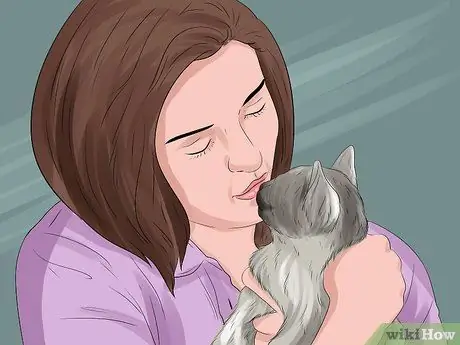 Решите, кому достанется домашнее животное при разводе, шаг 12