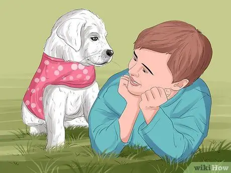 Решите, кому достанется домашнее животное при разводе, шаг 5