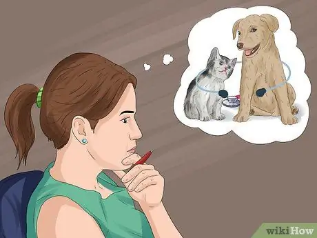 Решите, кому достанется домашнее животное при разводе, шаг 7