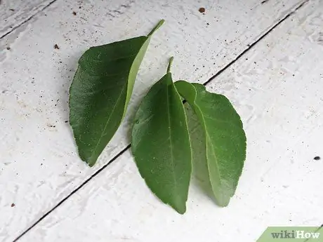 Приготовить суп Оха Шаг 4