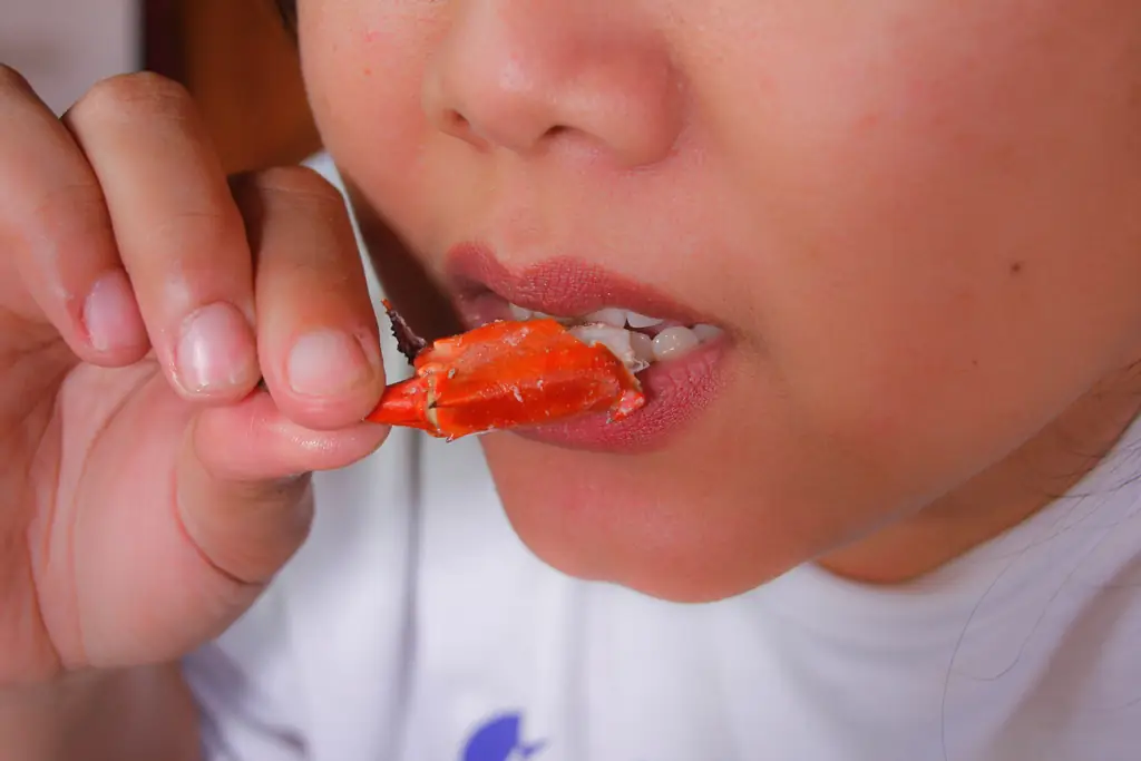 Как расколоть краба: 8 шагов (с иллюстрациями)