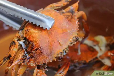 Варить синего краба шаг 10