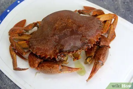 Чистый краб, шаг 3