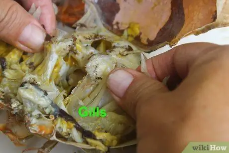 Чистый краб, шаг 6