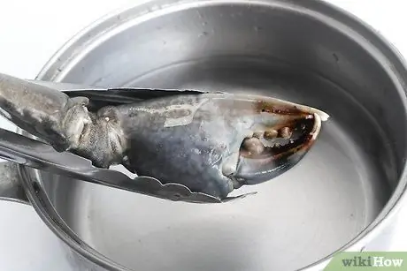 Приготовить каменные клешни краба, шаг 4