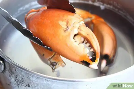 Приготовить каменные клешни краба, шаг 5