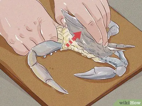 Очистить синего краба, шаг 2