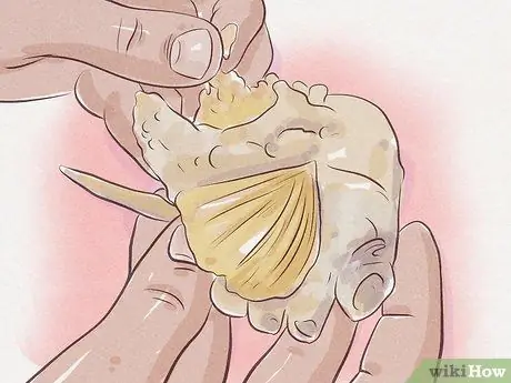 Очистить синего краба Шаг 4