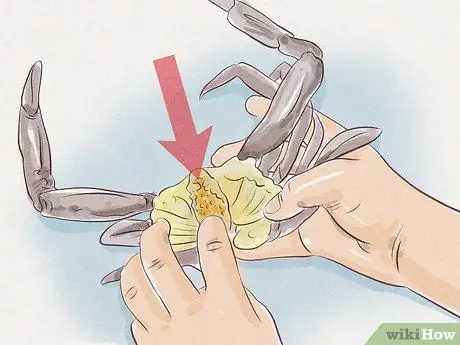 Очистить синего краба Шаг 5