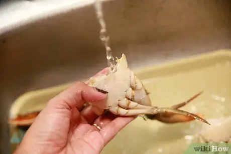 Приготовить грязевого краба, шаг 11