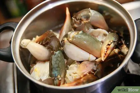 Приготовить грязевого краба, шаг 16