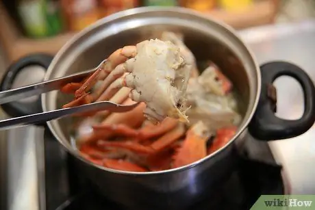 Приготовить грязевого краба, шаг 17