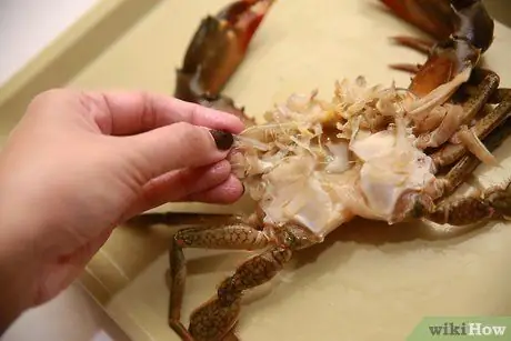 Приготовить грязевого краба, шаг 9