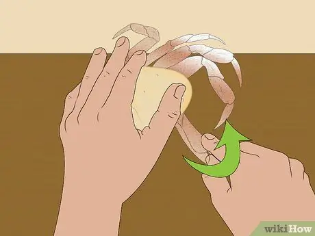 Съешьте краба Dungeness Step 13