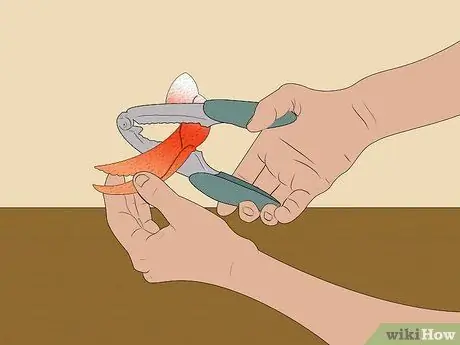 Съешьте краба Dungeness Step 16