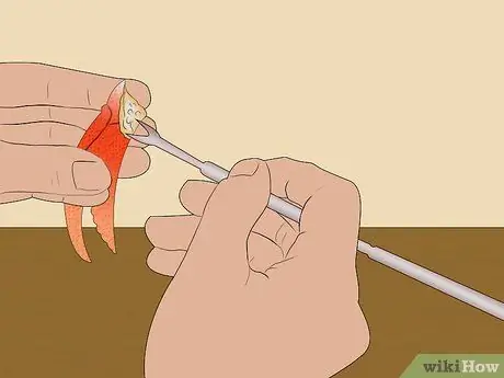 Съешьте краба Dungeness Шаг 17