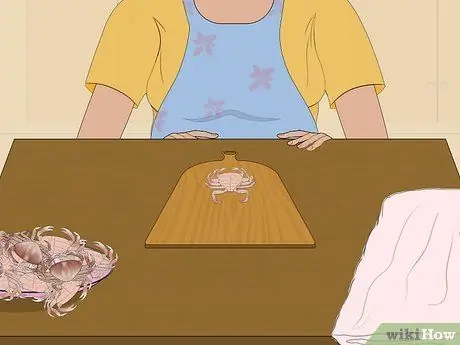 Съешьте краба Дандженесс, шаг 7