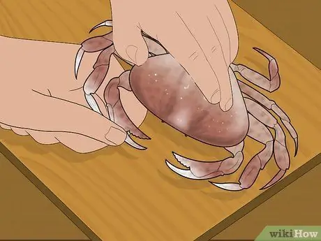 Съешьте краба Dungeness Step 9