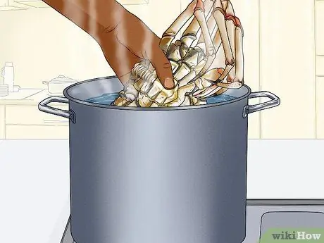 Готовим краба-паука, шаг 4