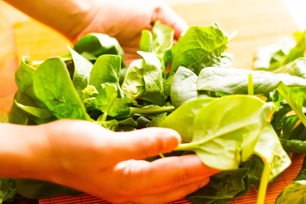 Как приготовить шпинат: 13 шагов (с иллюстрациями)