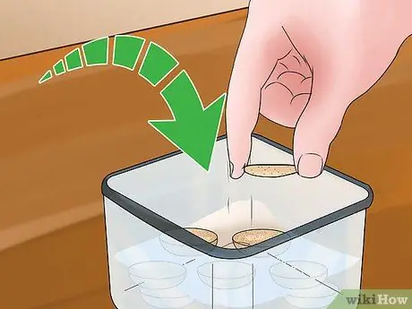 Магазин Macarons Шаг 10