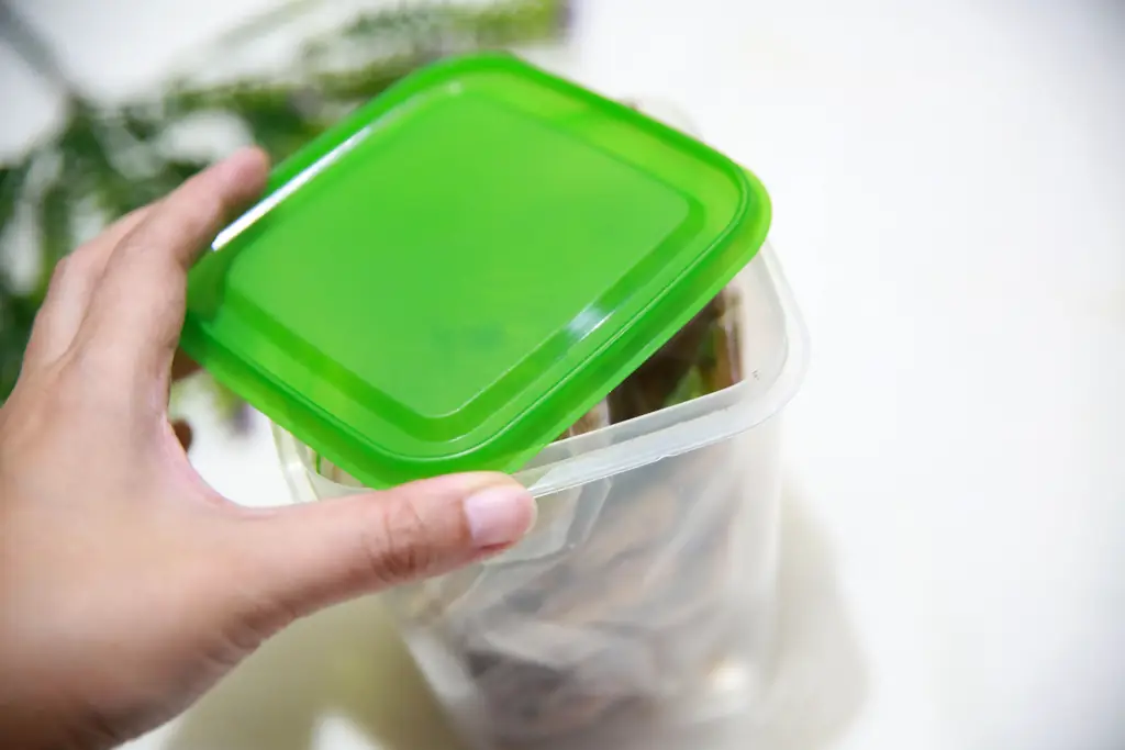 Как сохранить свежесть файлов cookie: 10 шагов (с изображениями)