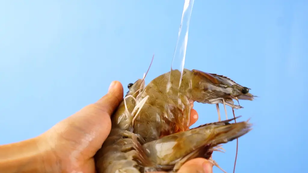 Как очистить креветки: 8 шагов (с иллюстрациями)