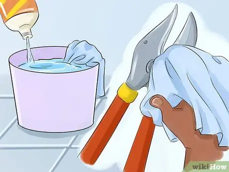 Чернослив красная смородина Шаг 9