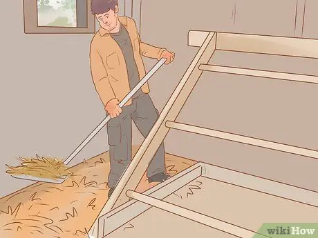 Найдите место, где курица откладывает яйца Шаг 11