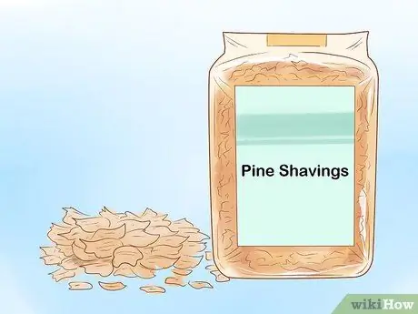 Найдите место, где курица откладывает яйца Шаг 13