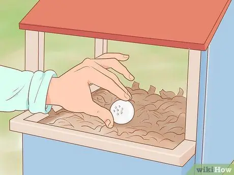 Найдите место, где курица откладывает яйца Шаг 14