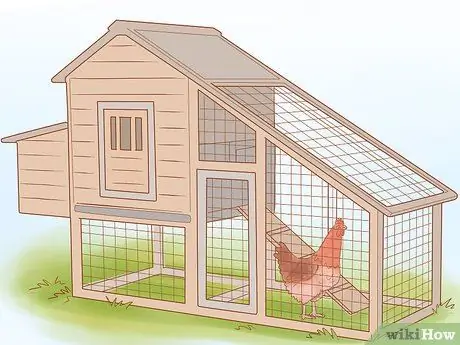 Найдите место, где курица откладывает яйца Шаг 16