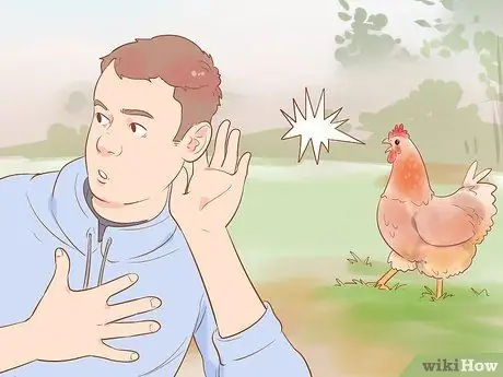 Найдите место, где курица откладывает яйца Шаг 3