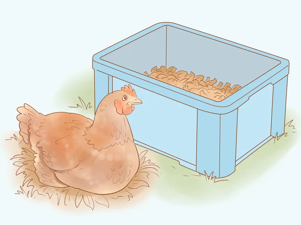 3 способа узнать, где курица откладывает яйца