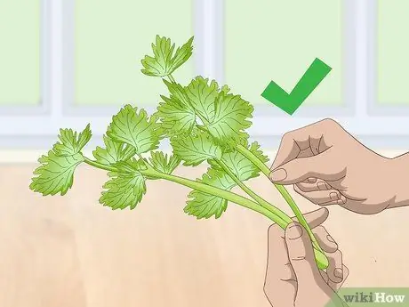 Проверьте, не испортились ли овощи Шаг 7