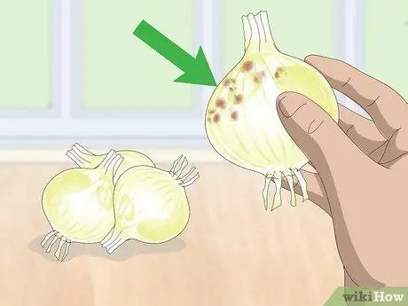 Проверьте, не испортились ли овощи Шаг 8