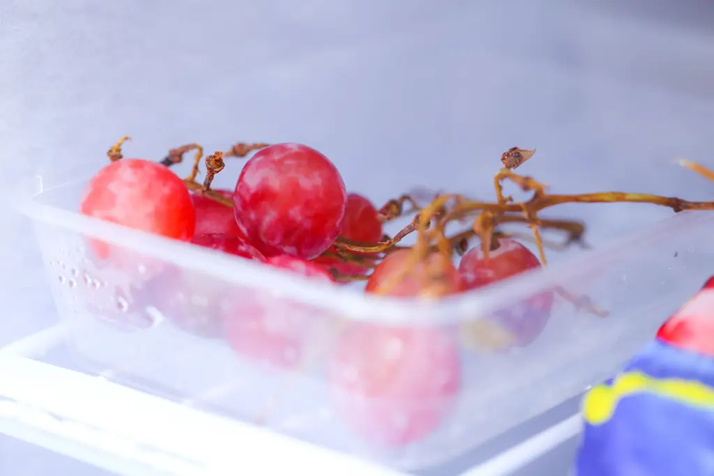 3 способа хранения продуктов