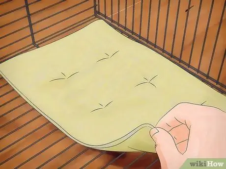 Лечить кровавого клеща у канареек Шаг 5