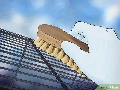 Лечить кровавого клеща у канареек Шаг 6