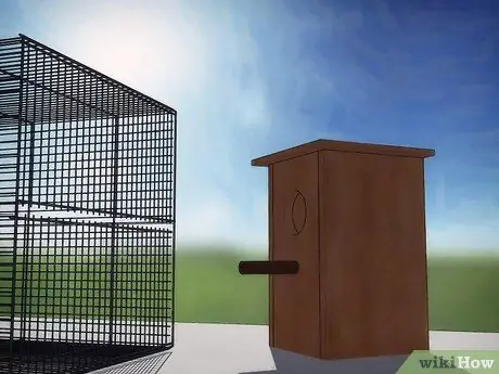 Лечить кровавого клеща на канарейках Шаг 8