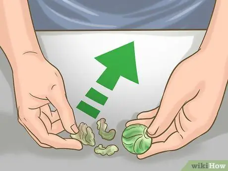 Обрезка брюссельской капусты Шаг 1