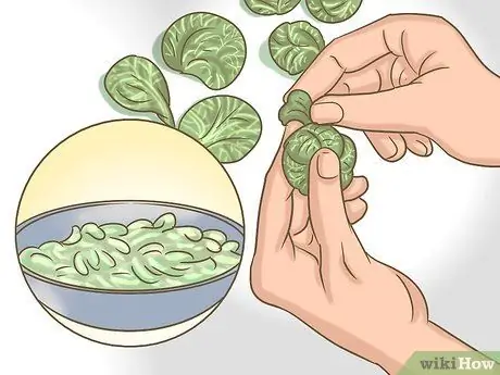 Обрезка брюссельской капусты Шаг 7